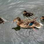 Samtale med en arkitekt: Sådan formes aarhus’ bybillede